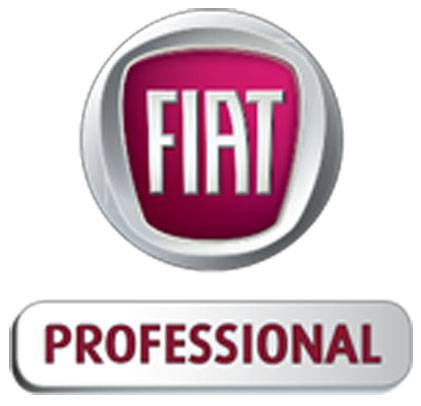 Tragwein Fiat Professional